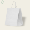 Twisted Handle Paper Bag
