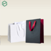 Luxury Paper Bag