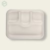 Bagasse 4cp meal tray