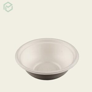 Bagasse Bowl