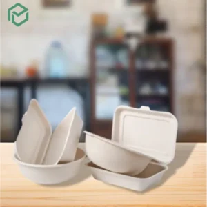 Bagasse Containers, Bowls And Boxes