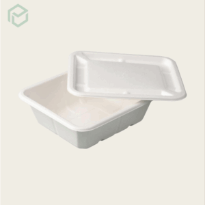 Bagasse Containers