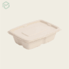Bagasse Containers