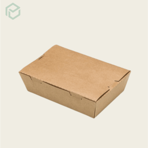 Paper Lunch Box