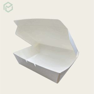 Paper Lunch Box