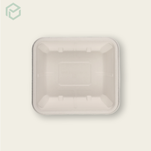 Square Bagasse Plate