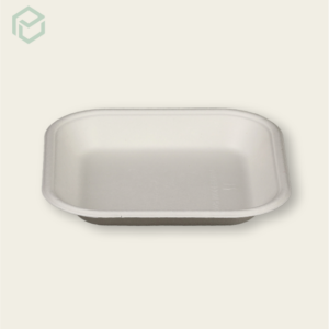 Square Bagasse Plates