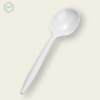 White Plastic Spoon