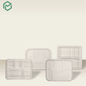 Bagasse Plates & Trays